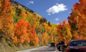 aspen dans le colorado en automne