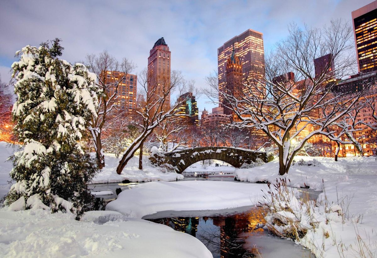la beauté hivernale de New York City 1