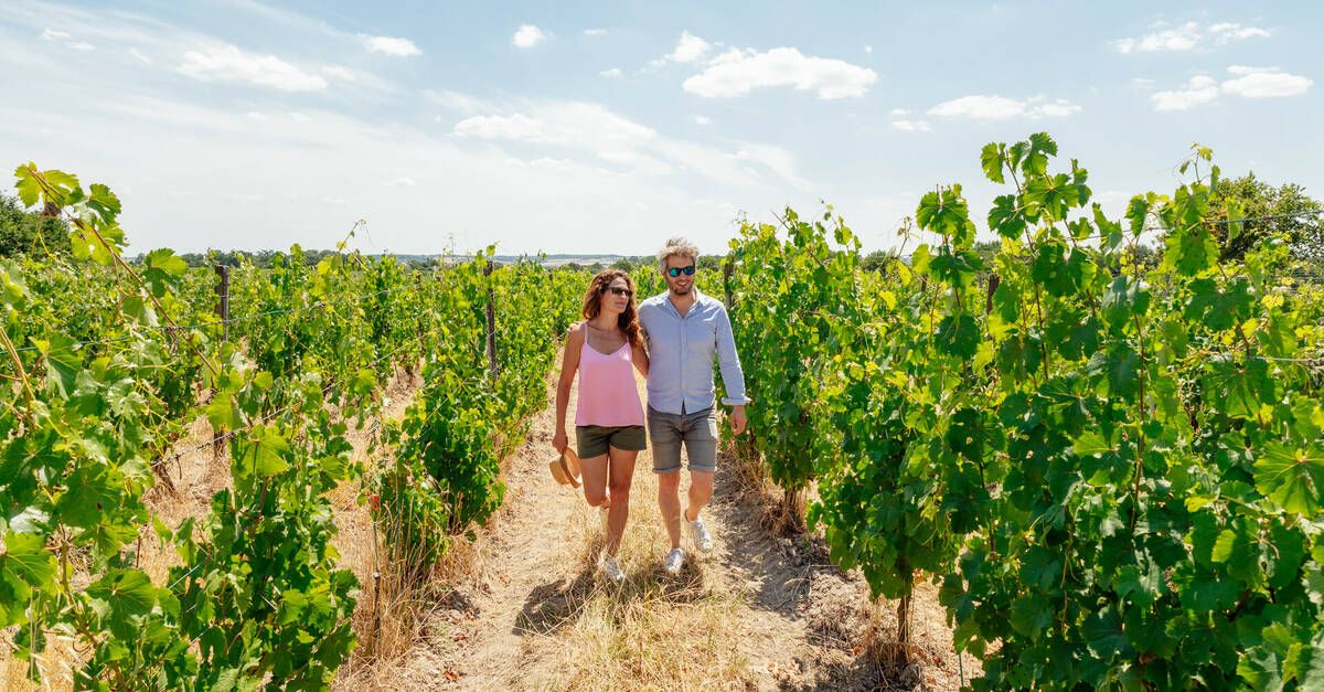 Escapade romantique dans les vignobles de Napa Valley